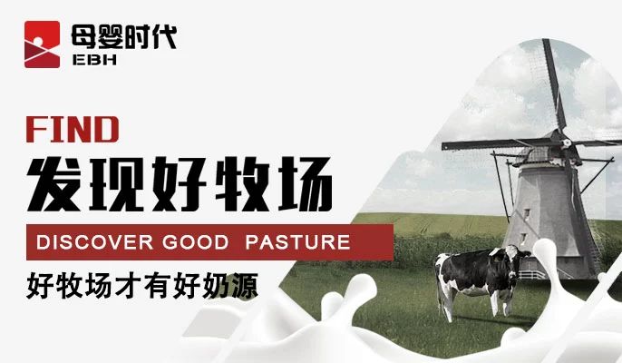 91香蕉APP在线观看五年磨一剑，已经站上高速发展的起跑线——陕西之新秀篇