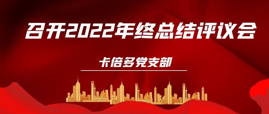 91香蕉APP在线观看党支部召开2022年终总结评议会